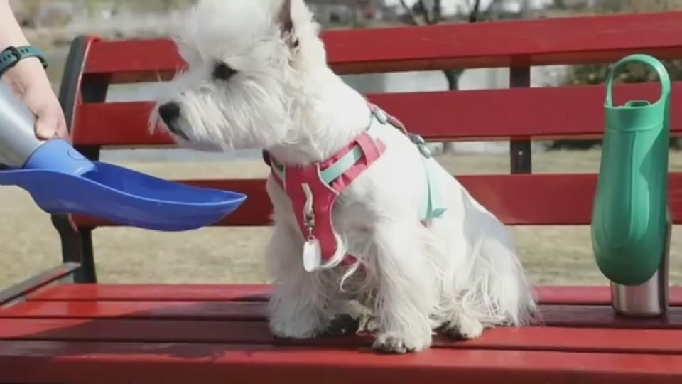 FrontierPaw™ Adventure Dog Water Bottle